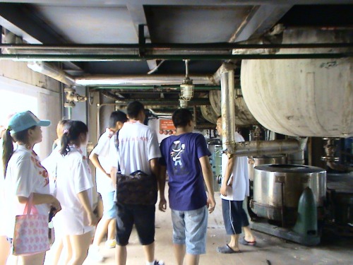 员工们深入厂房车间